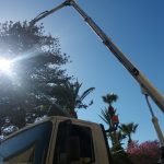 piattaforma aerea CELA TJ320