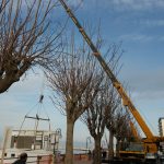 sollevamento prefabbricato