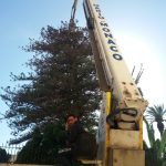 piattaforma aerea CELA TJ320